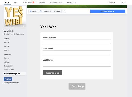 Школа бизнес-мам: Интеграция MailChimp с Фейсбуком